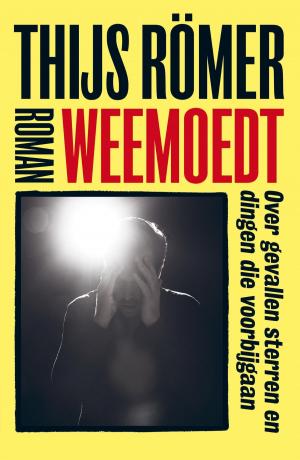 Cover of the book Weemoedt by Gerard de Villiers
