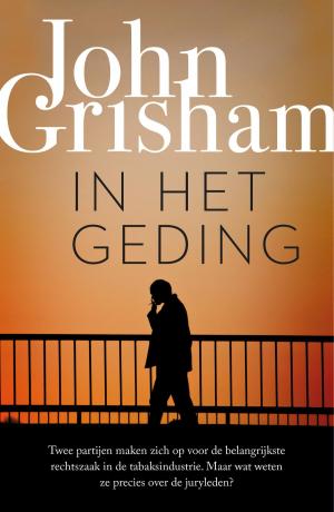 Cover of the book In het geding by Belinda Bauer