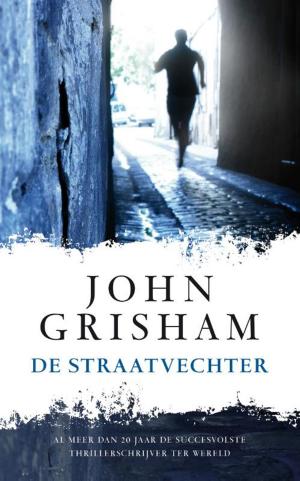 Cover of the book De straatvechter by Gregg Hurwitz