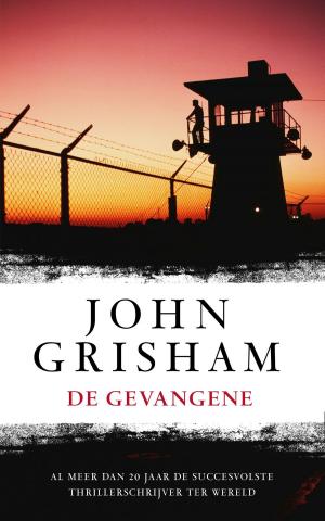 Cover of the book De gevangene by Gérard de Villiers