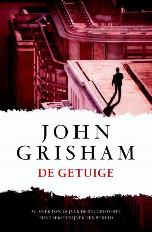 Cover of the book De getuige by alex trostanetskiy