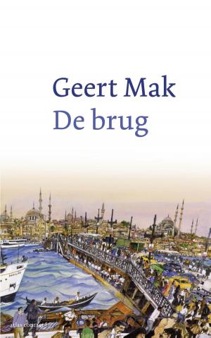 Cover of the book De brug by Dimitri Verhulst
