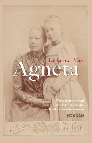 Cover of the book Agneta by Maarten van Rossem