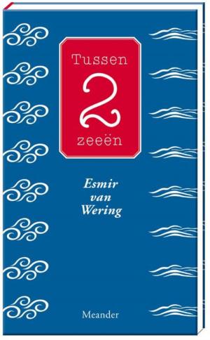 Cover of the book Tussen 2 zeeën by Monica Maas