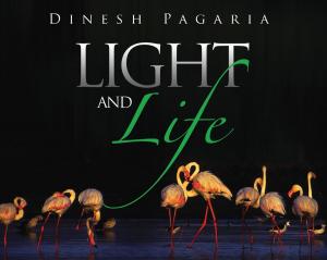 Cover of the book Light and Life by Mohammed Al-Hasani
