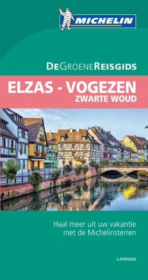 Cover of the book Elzas-Vogezen by Alistair Lyne