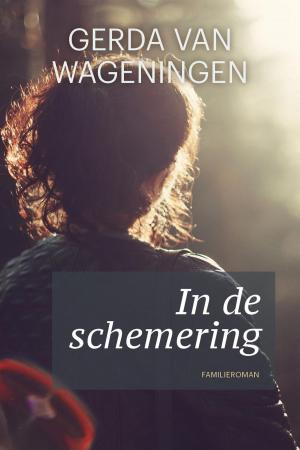 Cover of the book In de schemering by Joke Verweerd