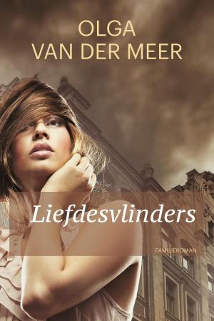 Cover of the book Liefdesvlinders by A.C. Baantjer