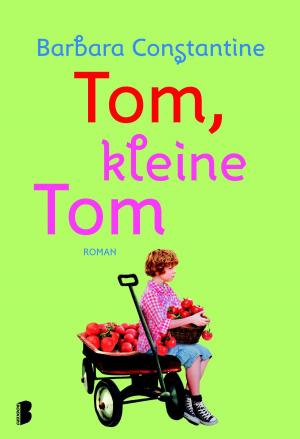 Cover of the book Tom, kleine Tom by Kate Hamer
