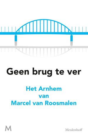 Cover of the book Geen brug te ver by Jens Christian Grøndahl