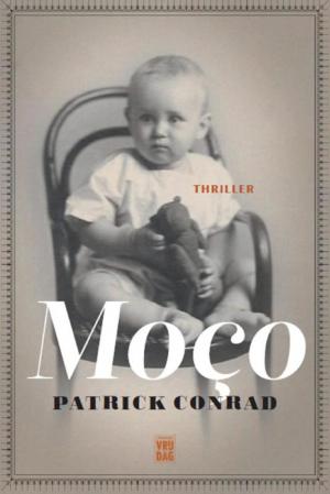 Cover of the book Moço by Erik Vlaminck