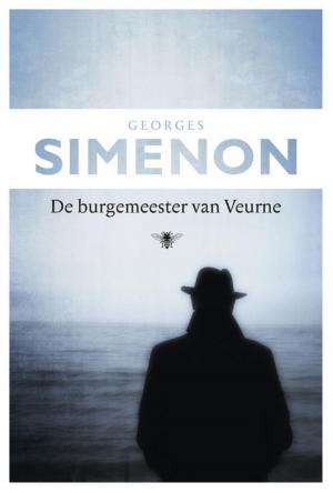 Cover of the book De burgemeester van Veurne by Tomas Ross