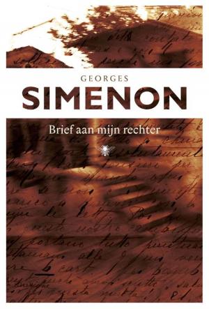 Cover of the book Brief aan mijn rechter by Raoul de Jong