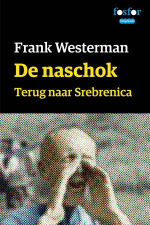 Cover of the book De naschok by Els Quaegebeur