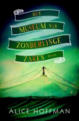 Cover of the book Het museum van zonderlinge zaken by Michele Lee, Mini Lee