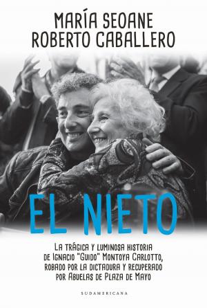 Cover of the book El nieto by Horacio Lutzky