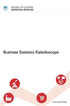 Cover of Business Statistics Kaleidoscope
