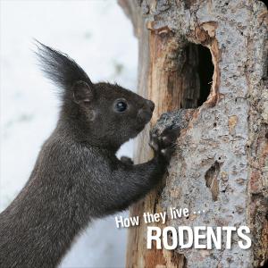 bigCover of the book How they live... Rodents by 