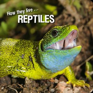 Cover of the book How they live... Reptiles by Jeanne Ann Macejko