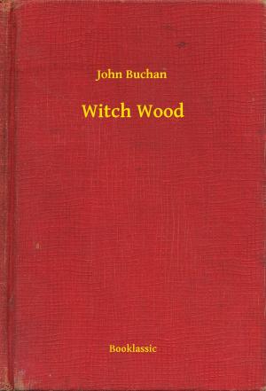 Book cover of Witch Wood