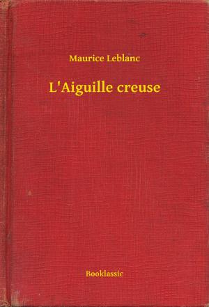 Book cover of L'Aiguille creuse