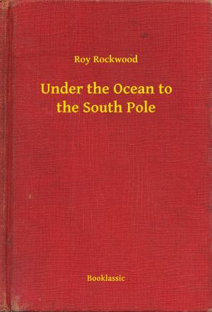 Cover of the book Under the Ocean to the South Pole by Edgar Wallace