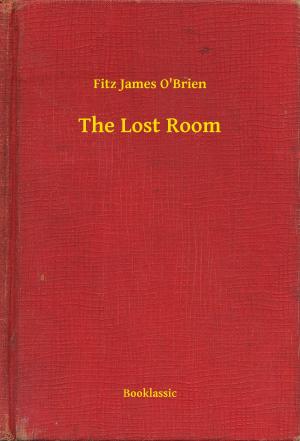 Book cover of The Lost Room