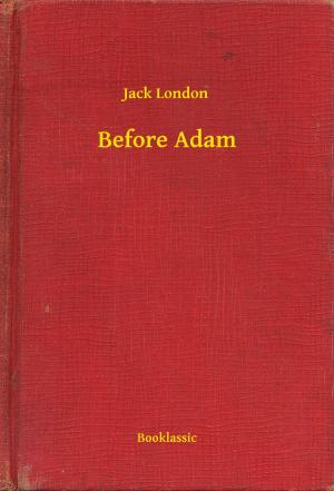 Cover of the book Before Adam by Nathaniel Hawthorne