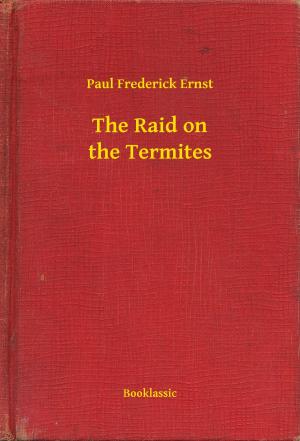 Cover of the book The Raid on the Termites by John Munro