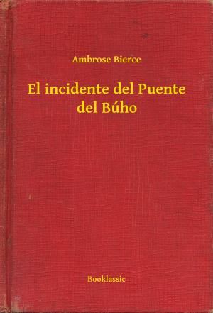 Book cover of El incidente del Puente del Búho