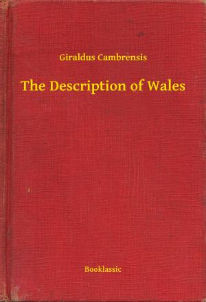 Cover of the book The Description of Wales by S. S. Van Dine