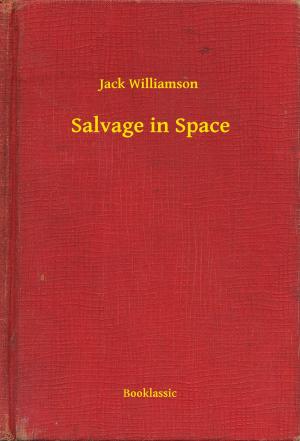 Book cover of Salvage in Space
