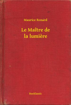 Cover of the book Le Maître de la lumière by Robert Ervin Howard