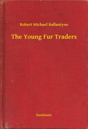 Cover of the book The Young Fur Traders by Alphonse Daudet