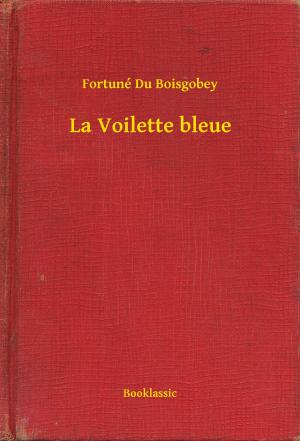 Cover of the book La Voilette bleue by Victor Hugo