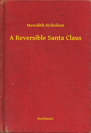 Book cover of A Reversible Santa Claus