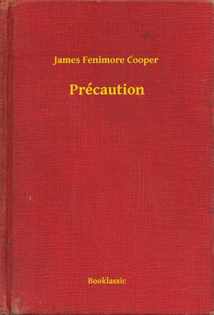Cover of the book Précaution by Joseph von Eichendorff