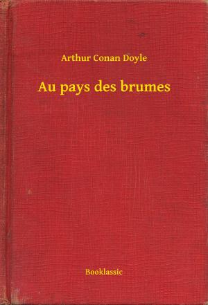 Cover of the book Au pays des brumes by Edgar Allan Poe