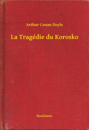 Cover of the book La Tragédie du Korosko by Karl May