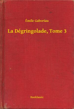 Cover of the book La Dégringolade, Tome 3 by Robert Ervin Howard