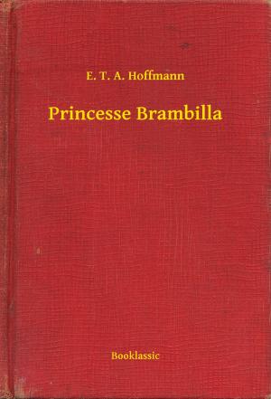 Cover of the book Princesse Brambilla by Mme de Sévigné