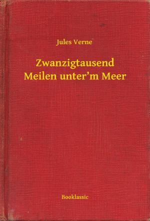 Cover of the book Zwanzigtausend Meilen unter’m Meer by Francis Scott Fitzgerald