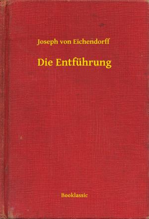 Cover of the book Die Entführung by Joseph Sheridan Le Fanu