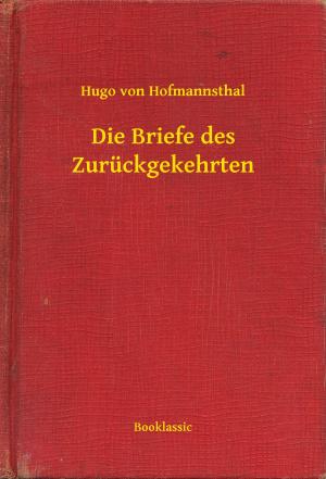 Cover of the book Die Briefe des Zurückgekehrten by Joseph Sheridan Le Fanu