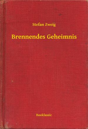 Cover of the book Brennendes Geheimnis by Robert Musil