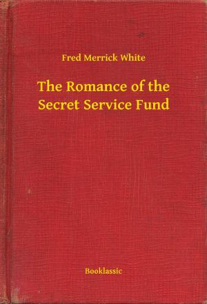 Book cover of The Romance of the Secret Service Fund