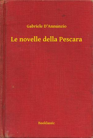 Book cover of Le novelle della Pescara