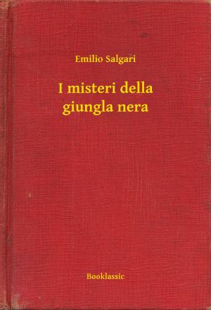Cover of the book I misteri della giungla nera by Alexandre Dumas