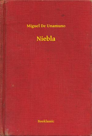 Cover of the book Niebla by Michel Zévaco