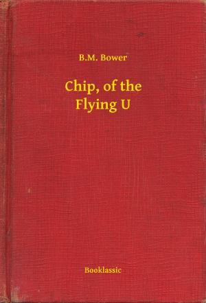 Cover of the book Chip, of the Flying U by George F. Worts
